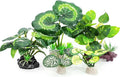 5Pack Tall Aquarium Plants by Vtapliea