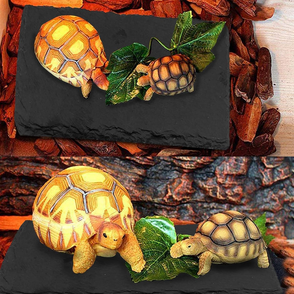 kathson 2 PCS Reptile Basking Platform (7.9 x 3.9 inches), Natural Rock Plate Turtle Food Bowl Feeding Dish Resting Terrace Habitat Decor for Tortoise Turtle Lizard Bearded Dragon Crested Gecko Snake