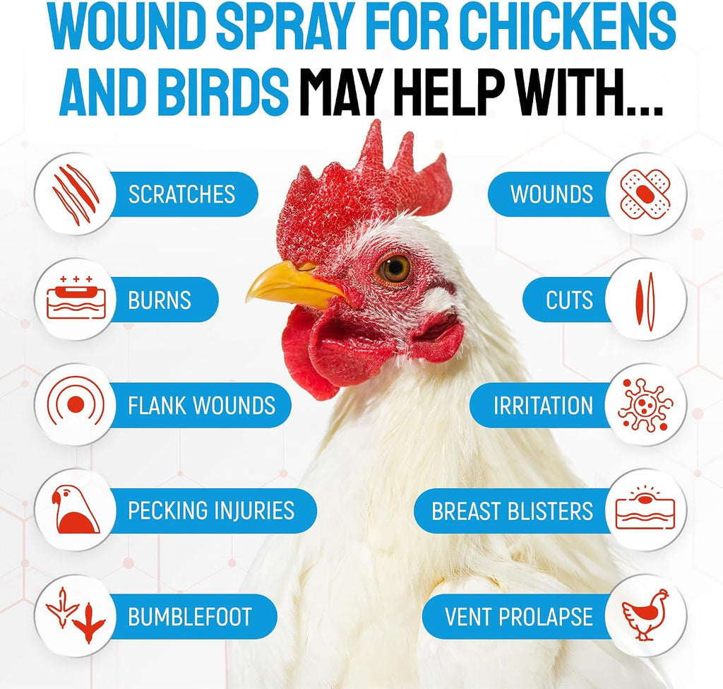 SILVER GRADE Wound Spray for Chicken – Birds & Chicken Antibiotics Alternative to Help with Pecking Sores, Bumblefoot, Cuts – Poultry Spray with Silver – GMOs Free – 4-Oz Bottle