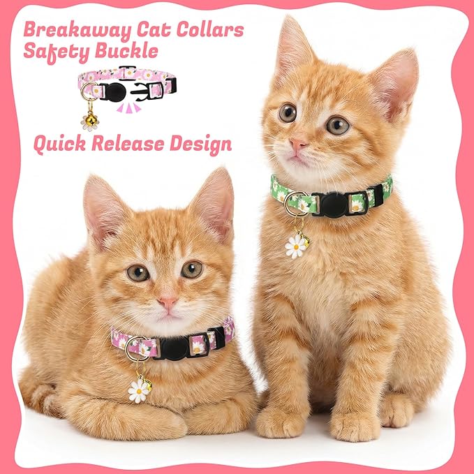 10 Pack Breakaway Cat Collars - Image 4
