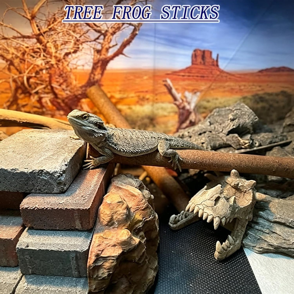 Natural Climbing Pet Cork Stick Natural Tree Frog Cork Wood Stick Branch Reptiles Climbing Branches Reptiles Use Cork Branches Climb Branches for Frogs, Snakes,Lizards, Bearded Dragons