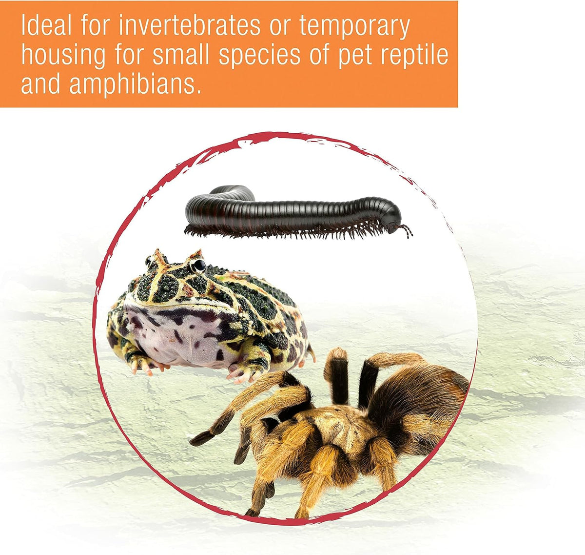Zilla Micro Habitat Terrarium, Isopod Enclosure, Large