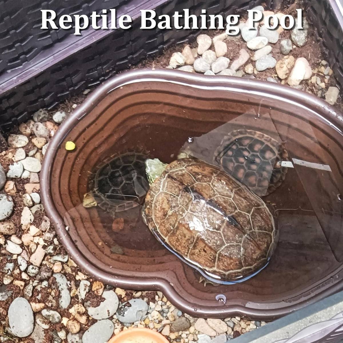 Reptile Water Dish with Ramp Turtle Bathing Pool 7 Pcs Feeding Bowl