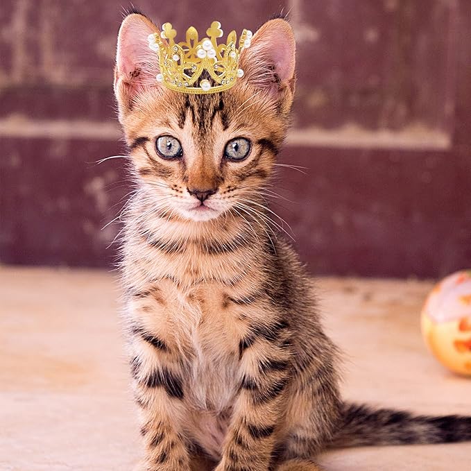 PET SHOW 2pcs Small Dog Crown Headband Puppies Rabbit Cat Hat - Image 2