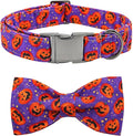 Dog Collar - Halloween Pumpkin Bowtie Pet Collar Gift Soft Bow Collar Pet by BoboRainbow
