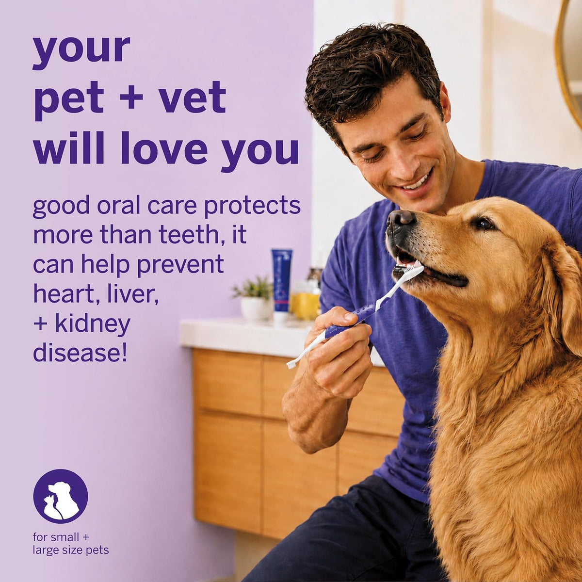 petsmile Professional Pet Toothbrush, Patented 45° Cats + Dogs