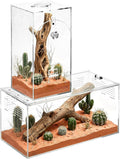 Acrylic Spider Enclosure 2 Pack, Terrarium for Jumping Spider（L）