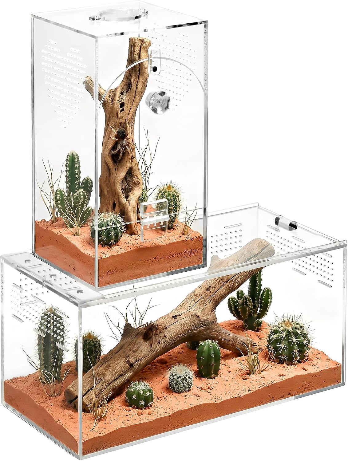 Acrylic Spider Enclosure 2 Pack, Terrarium for Jumping Spider（L）