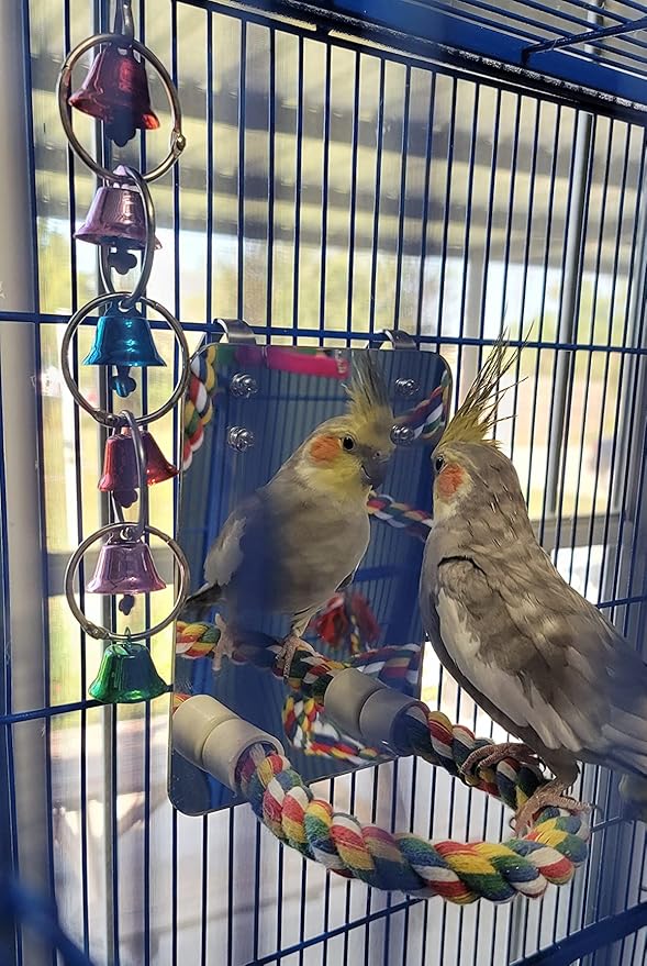 7" Bird Mirror with Rope Perch Bird Toys Swing, Comfy Perch - Image 7