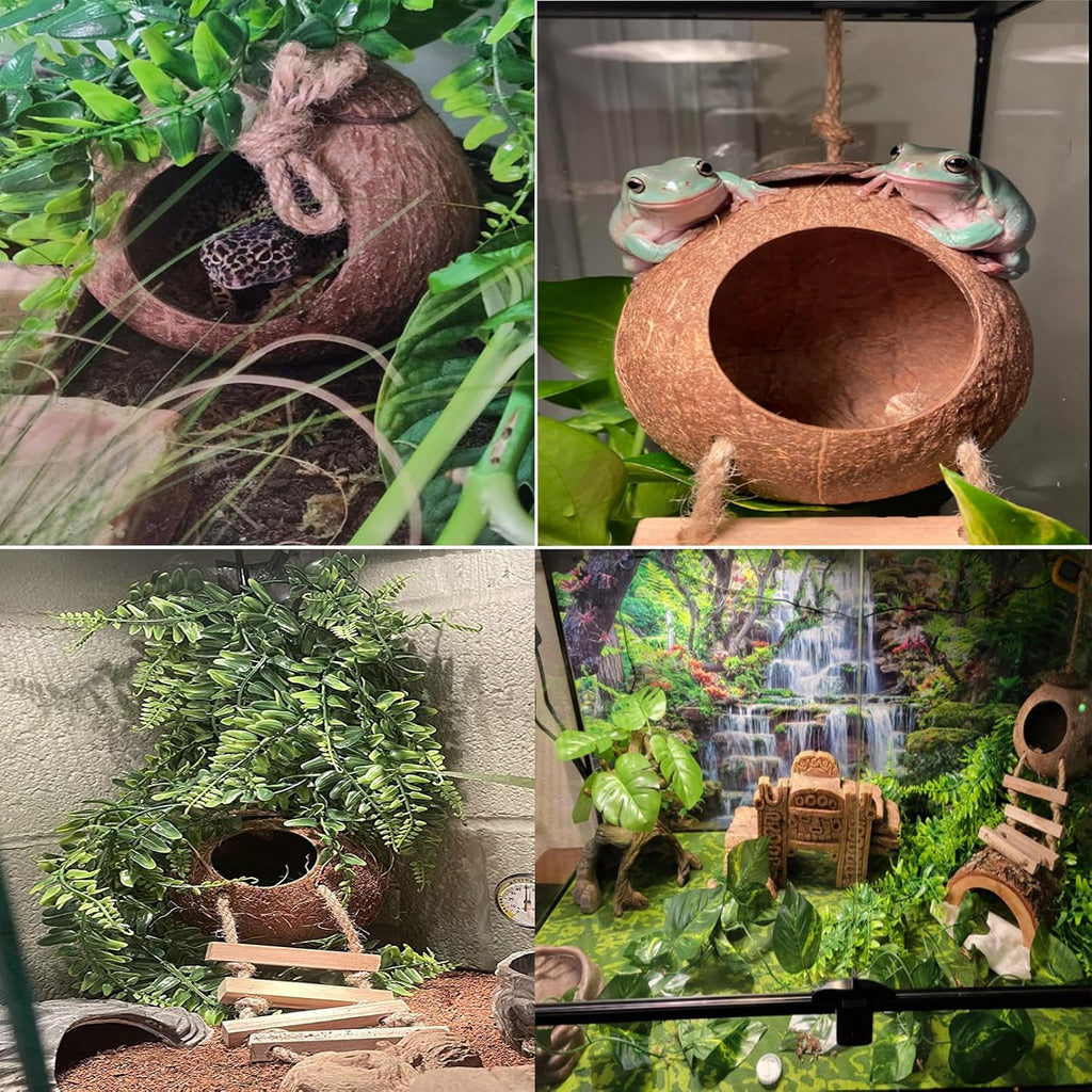 kathson Gecko Coco Hut Lizard Coconut Hide Cave Natural Coconuts Husk Reptile Hanging Nest Habitat Decor Bearded Dragon Terrarium Accessories for Crested Gecko Chameleon Snake Spider (4 PCS)