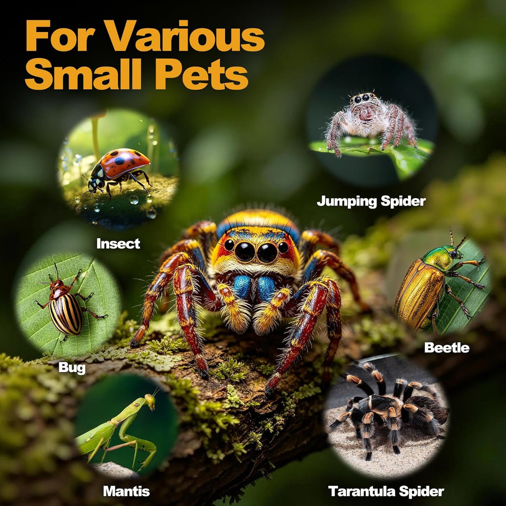 18Pcs Jumping Spider Enclosure Hammock Kit，Ventilation DIY Insects Habitat