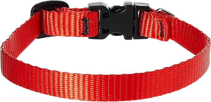 LupinePet Basics 1/2" Red 8-12" Adjustable Collar - Image 2