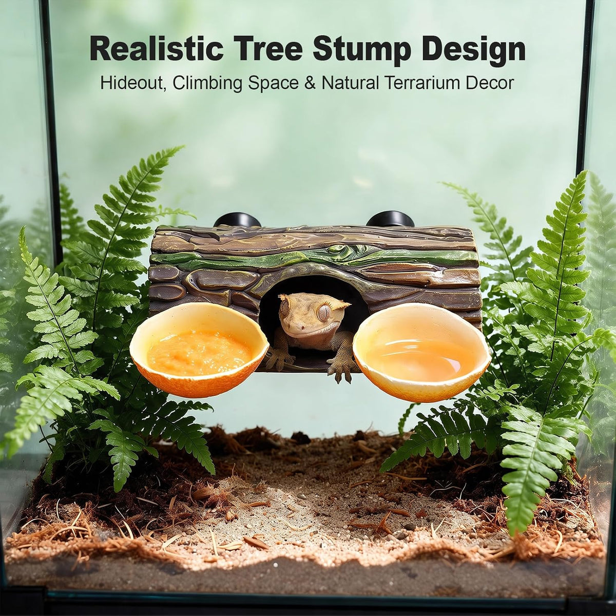 2-in-1 Magnetic Reptile Hide Cave with Dual Feeding Bowls