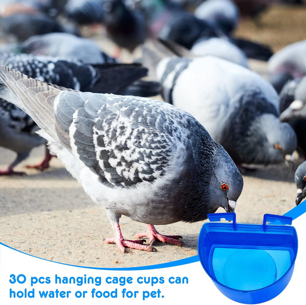 Suclain 30 Pack Blue Cage Feeders Birds Cage Cups Plastic Hanging Feeding