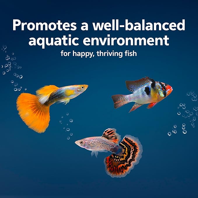 Aqueon AquaPacs Water Clarifier 12 Pack, 10 Gallon - Image 3