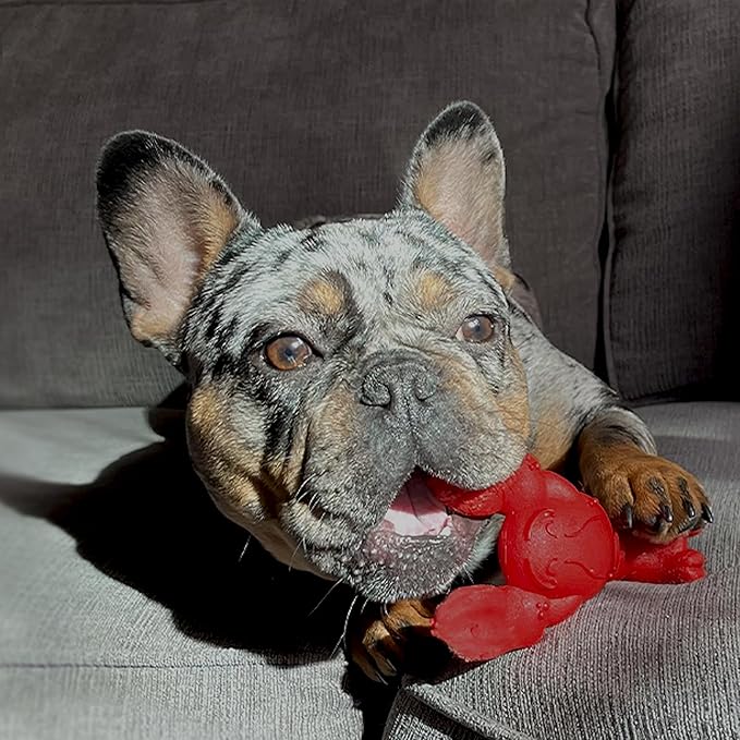 Nylabone Lobster Power Chew Toy - Image 14
