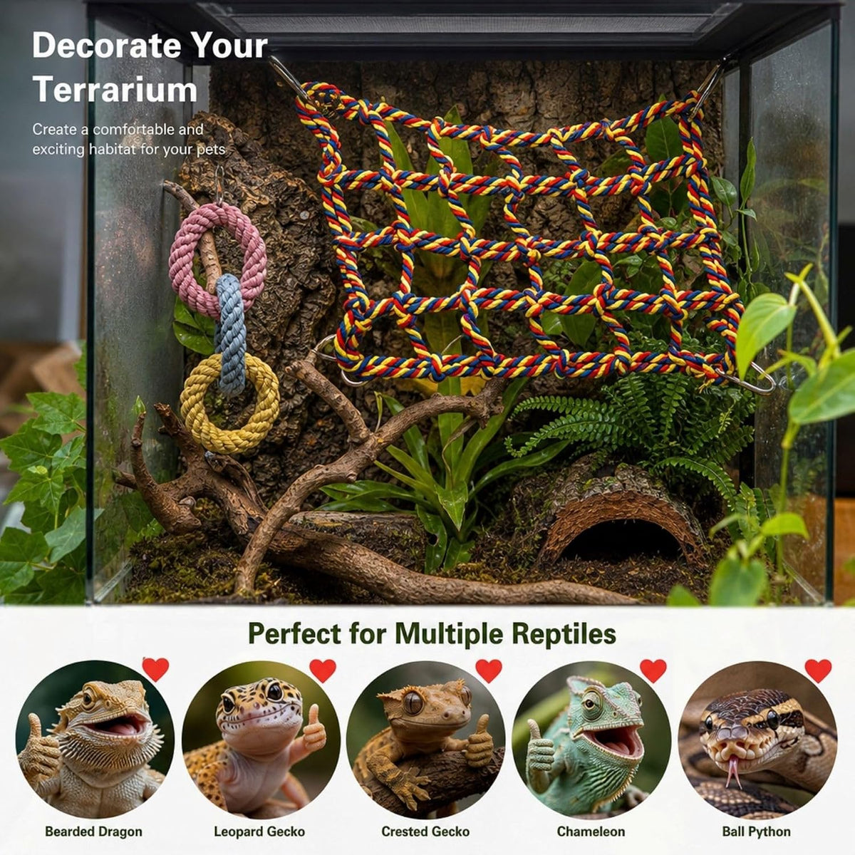 Snake Ring Toys&Reptile Hammock–Tank Enclosure Accessories with More Space