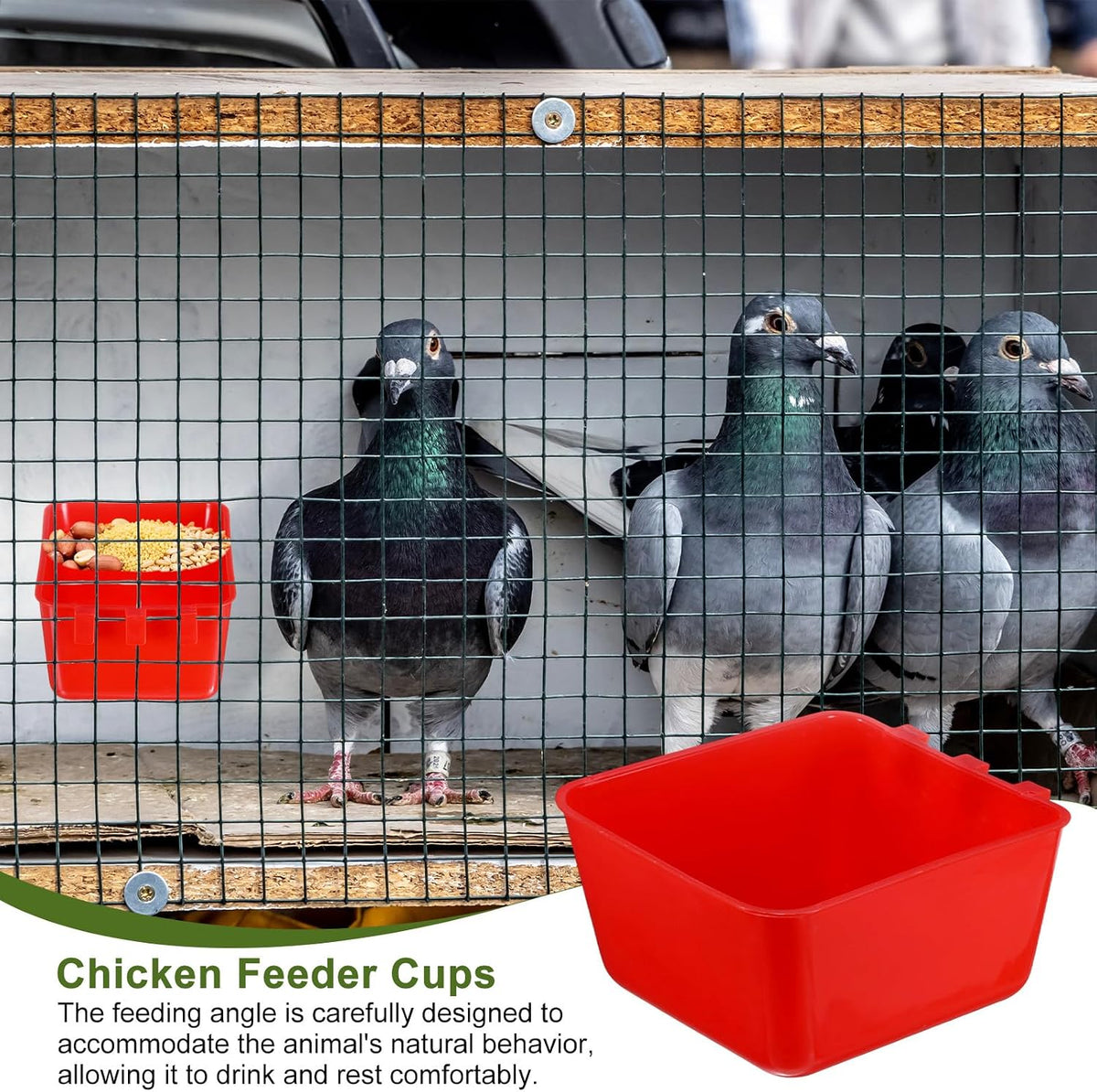 M METERXITY 5-Pack Bird Cage Cups 15 oz Plastic Chicken, Red