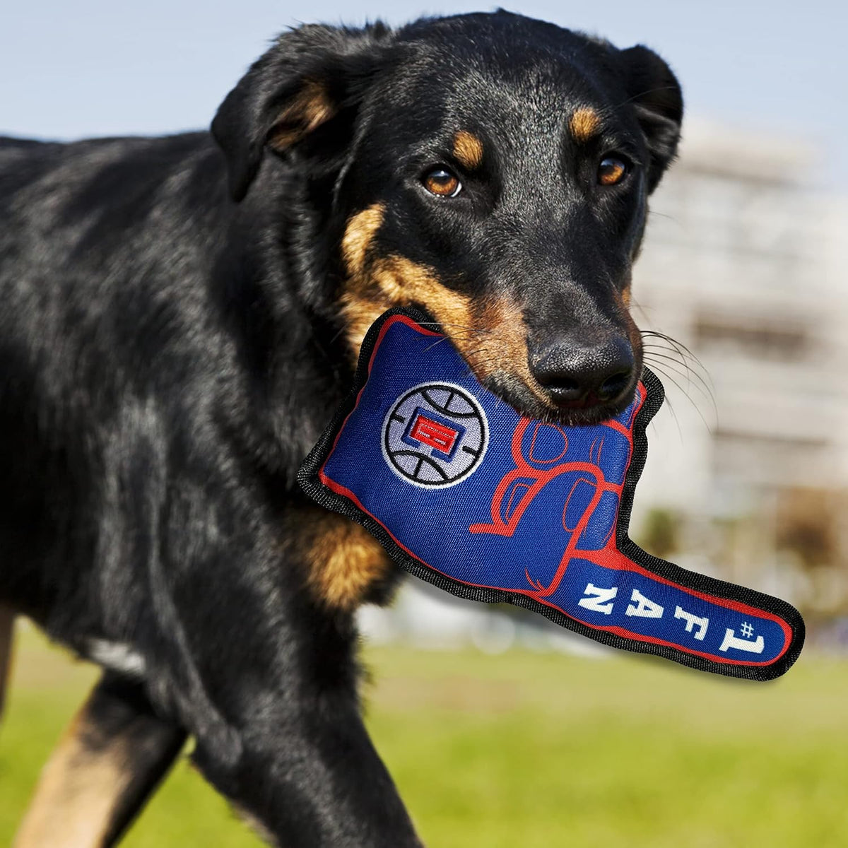 Pets First NBA #1 Fan Toy. Best Sports Dog Toy with Double Stitched Trim and Tough Nylon Material Filled with Chewable Polyfil and Inner Squeaker