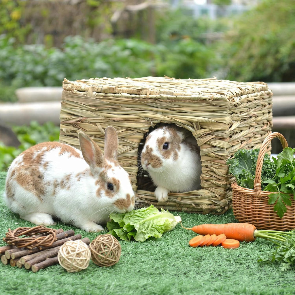 WUWEOT 2 Pack Large Grass Bunny House, Foldable Rabbit Hut, Play Hideaway Bed Hay Mat Chew Toy for Rabbit, Guinea Pigs, Gerbils, Hamster and Small Animals, 11"x8"x8"