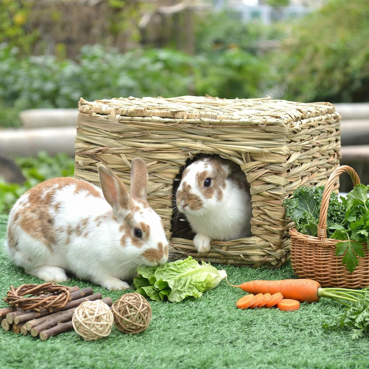 WUWEOT 2 Pack Large Grass Bunny House, Foldable Rabbit Hut, Play Hideaway Bed Hay Mat Chew Toy for Rabbit, Guinea Pigs, Gerbils, Hamster and Small Animals, 11"x8"x8"