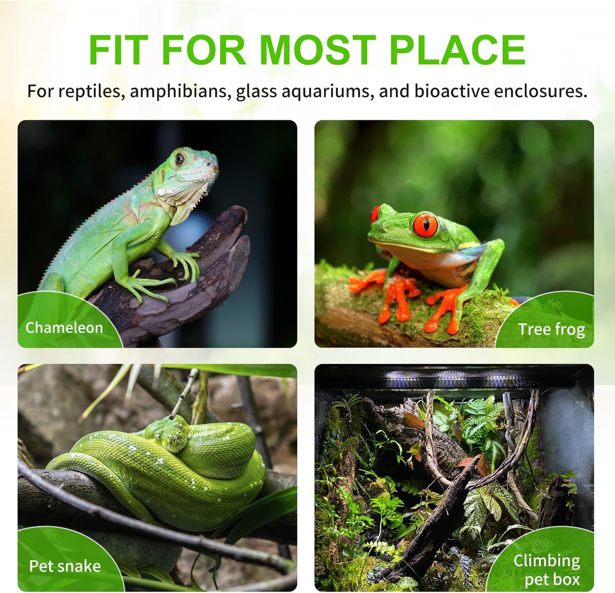 Reptile Mister System, External Timer & 360° Adjustable Nozzle, Humidifier for Reptiles, Amphibians, Rainforest Plants and Aquariums