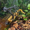 HOZOE Reptile Honeycomb Climbing Shelf, Suction Cup Mounted Snake Hide & Rest Platform, Terrarium Wall Decor Accessories for Ball Python, Corn Snake, Lizard, Bearded Dragon, Gecko (Black)
