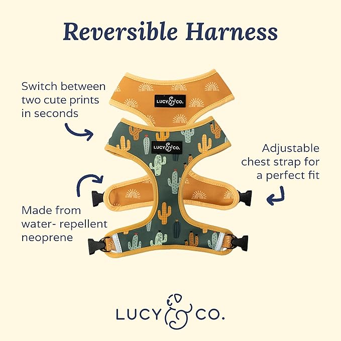 Lucy & Co. Looking Sharp, Cute Reversible Dog Harness Walking Halter - Image 2