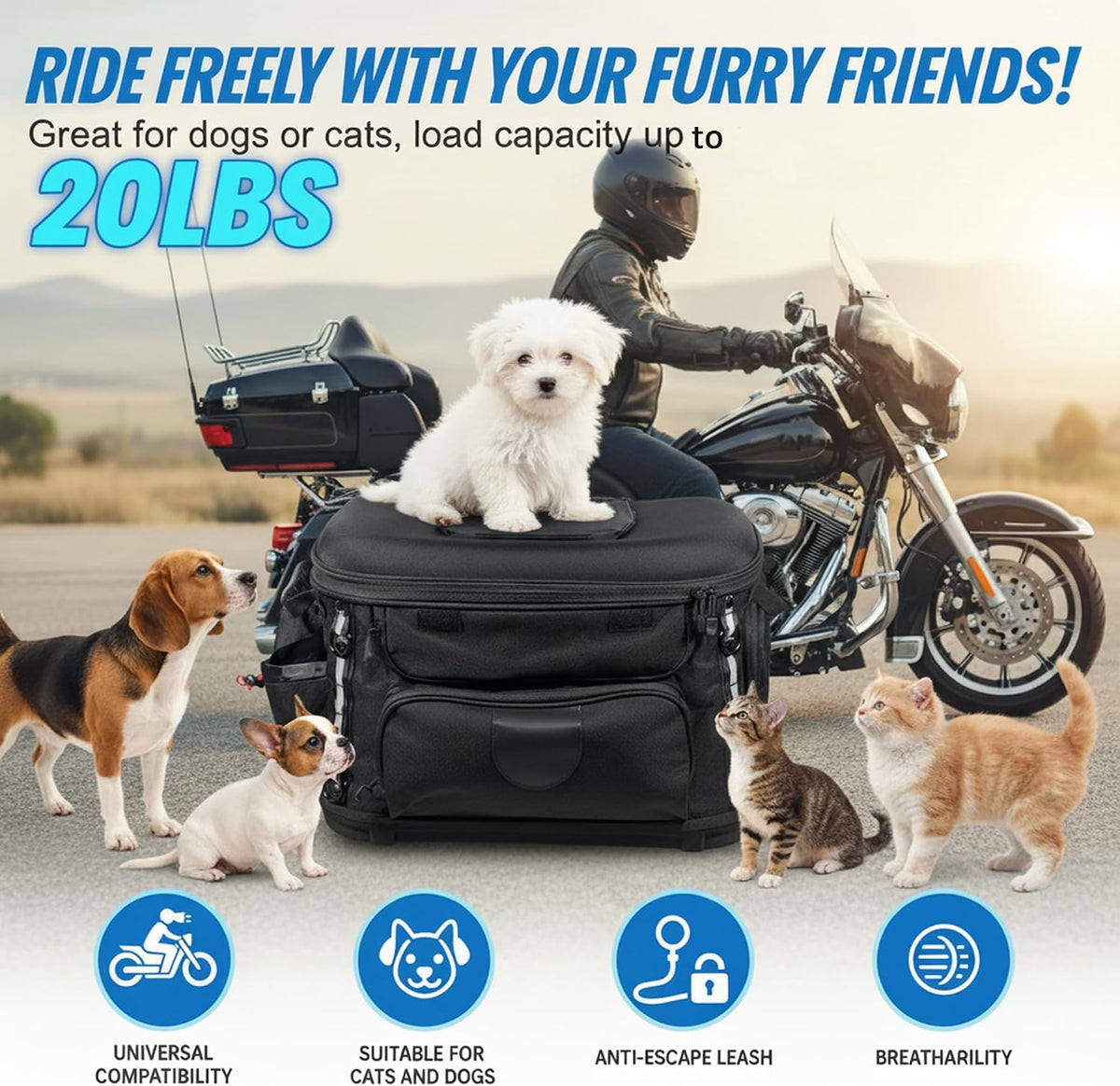 Motorcycle Dog Carrier, Foldable Cat Pet Crate Motorcycle Riding Travel Luggage Bag for Road King Street Glide Passenger Seat Sissy Bar Luggage Rack Touring Trike 20lb Pet