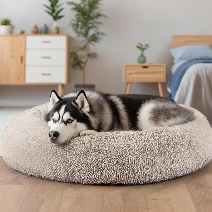 Extra Large Dog Beds, 36 Inch Human Dog Anxiety Relief Comfort Bed, - Image 5