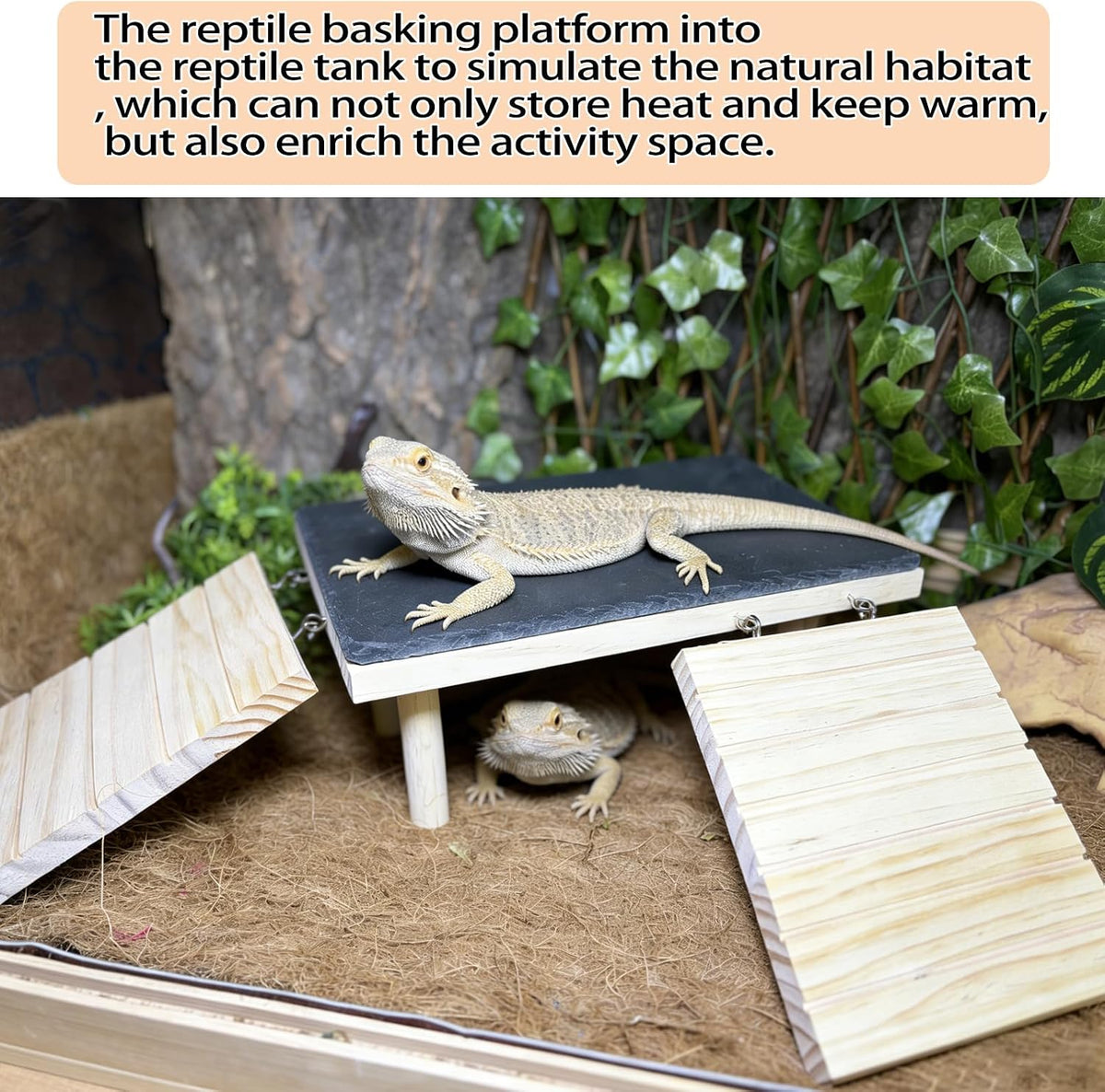 Bearded Dragon Basking Platform with Climbing Ramp & Reptile Decor Rock