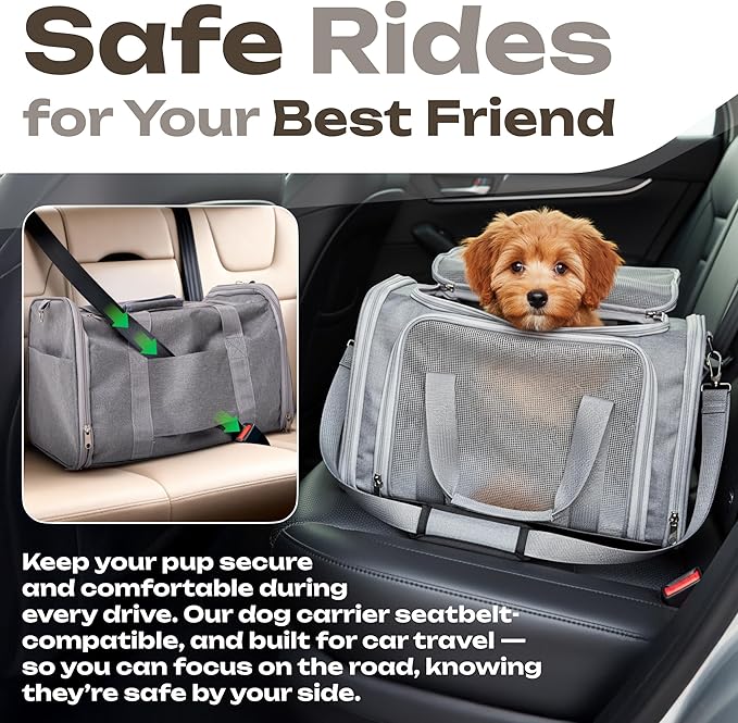 Pet Carrier for Cats, Guinea Pigs – Airline Approved Soft-Sided Travel Bag - Image 7