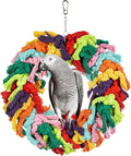 Parrot Swing for Large Birds by Unknown