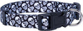 Native Pup Skull Dog Collar for Halloween by NativePup