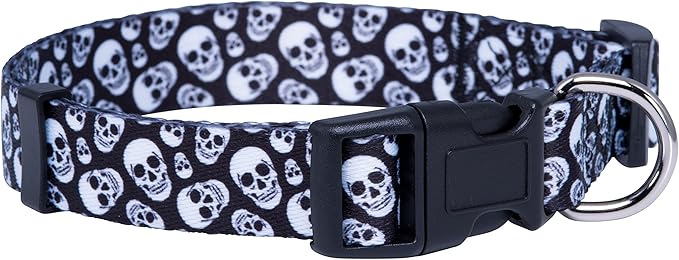 Native Pup Skull Dog Collar for Halloween by NativePup