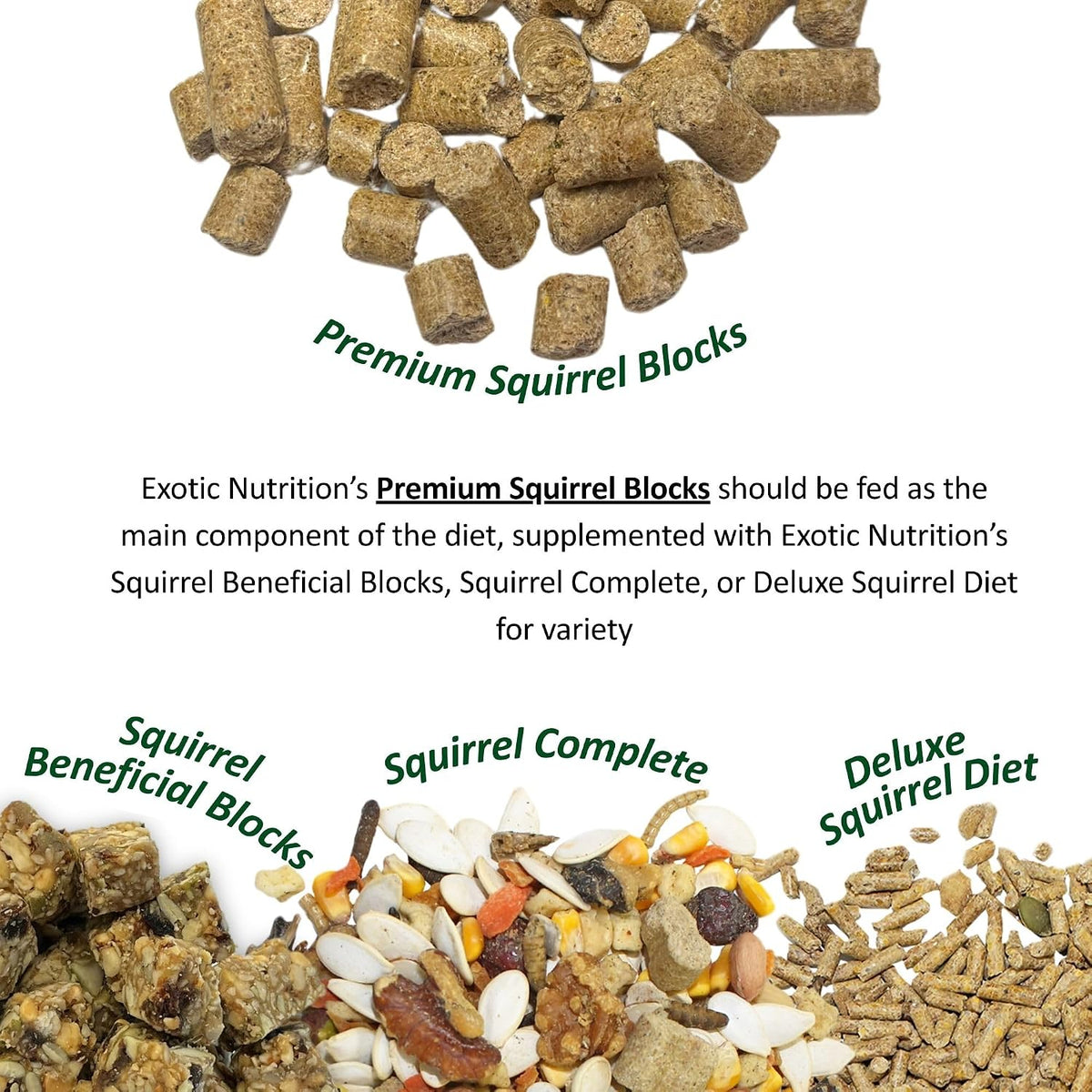 Exotic Nutrition Squirrel Complete (1.75 lb.) - Healthy Natural Food - Nutritional Diet for Pet & Captive Squirrels - Ground, Grey, Flying Squirrels, & Chipmunks