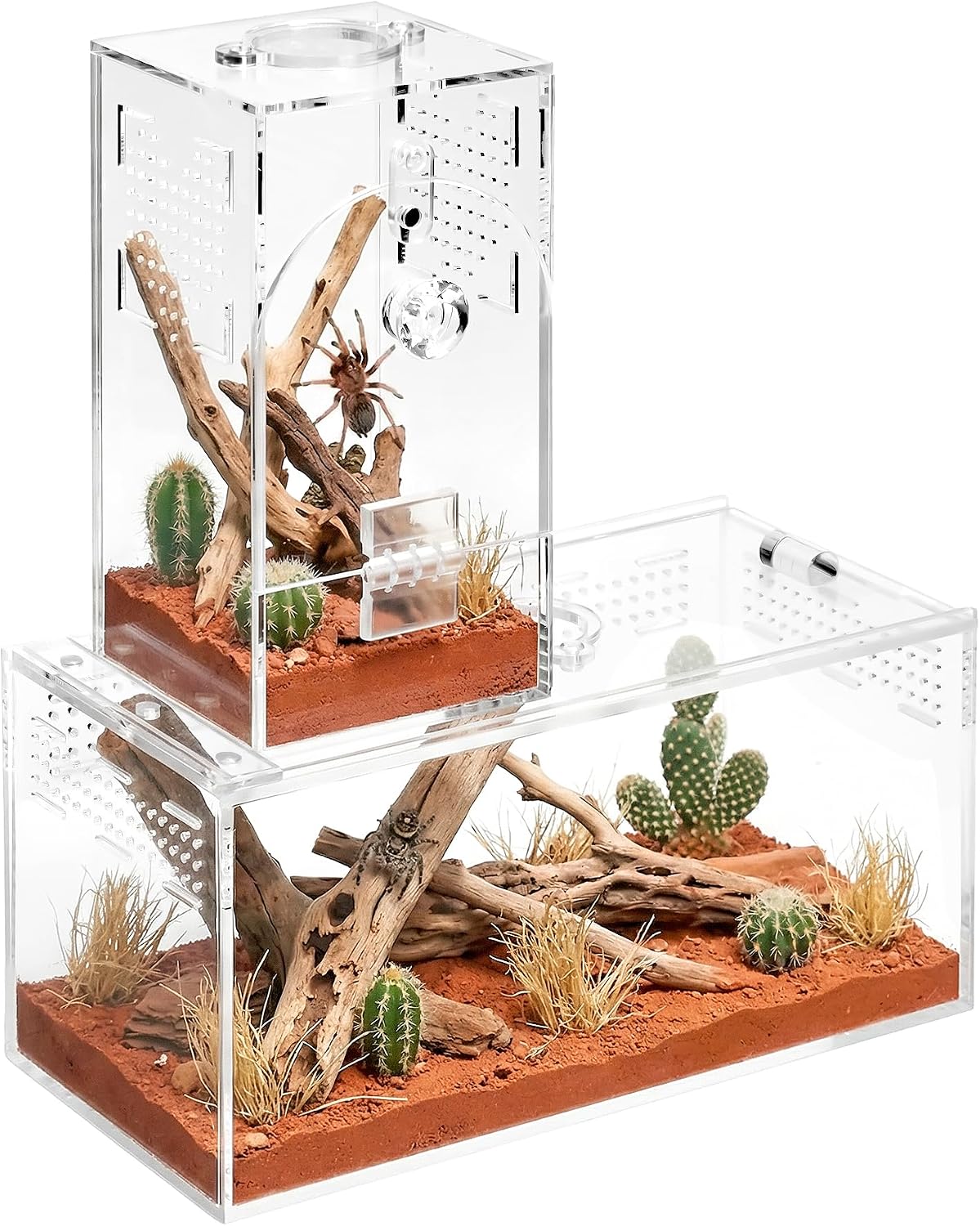 Acrylic Spider Enclosure 2 Pack, Terrarium for Jumping Spider（L）