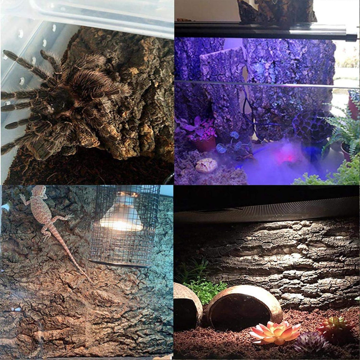 4PCS Cork Terrarium Background 15.7x11.8in Natural Cork Large Bark Climbing Mat Habitat Decoration Chameleons, Lizards, Turtles Glass Jar Decoration
