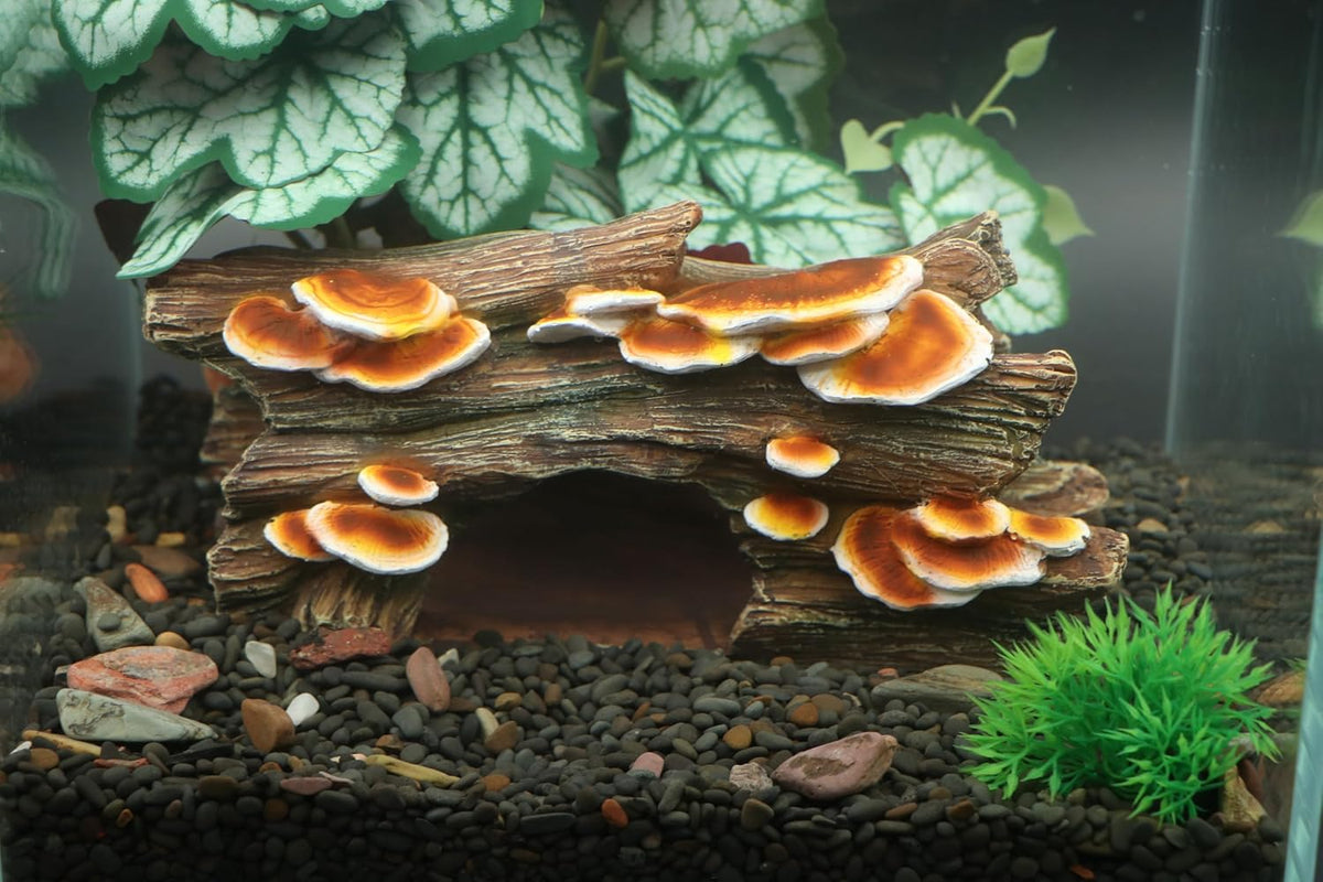 AQUA KT Reptile Tree Hollow Hideout Mushroom Ledge Rock for Lizard Snake