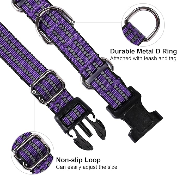Martingale Dog Collar, Adjustable Nylon Reflective Collar - Image 3