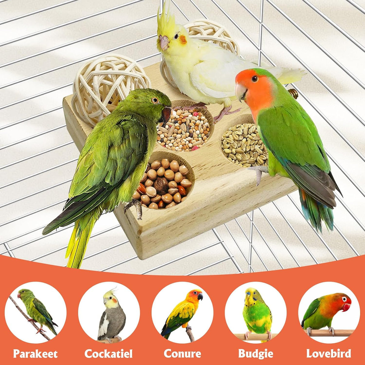 2 Pack Wooden Foraging Bird Toys - Interactive Slow Feeder Enrichment for Conures, Budgies and Lovebirds | Cage Climbing Puzzle Toys for Small Parrots Promoting Natural Pecking Behavior