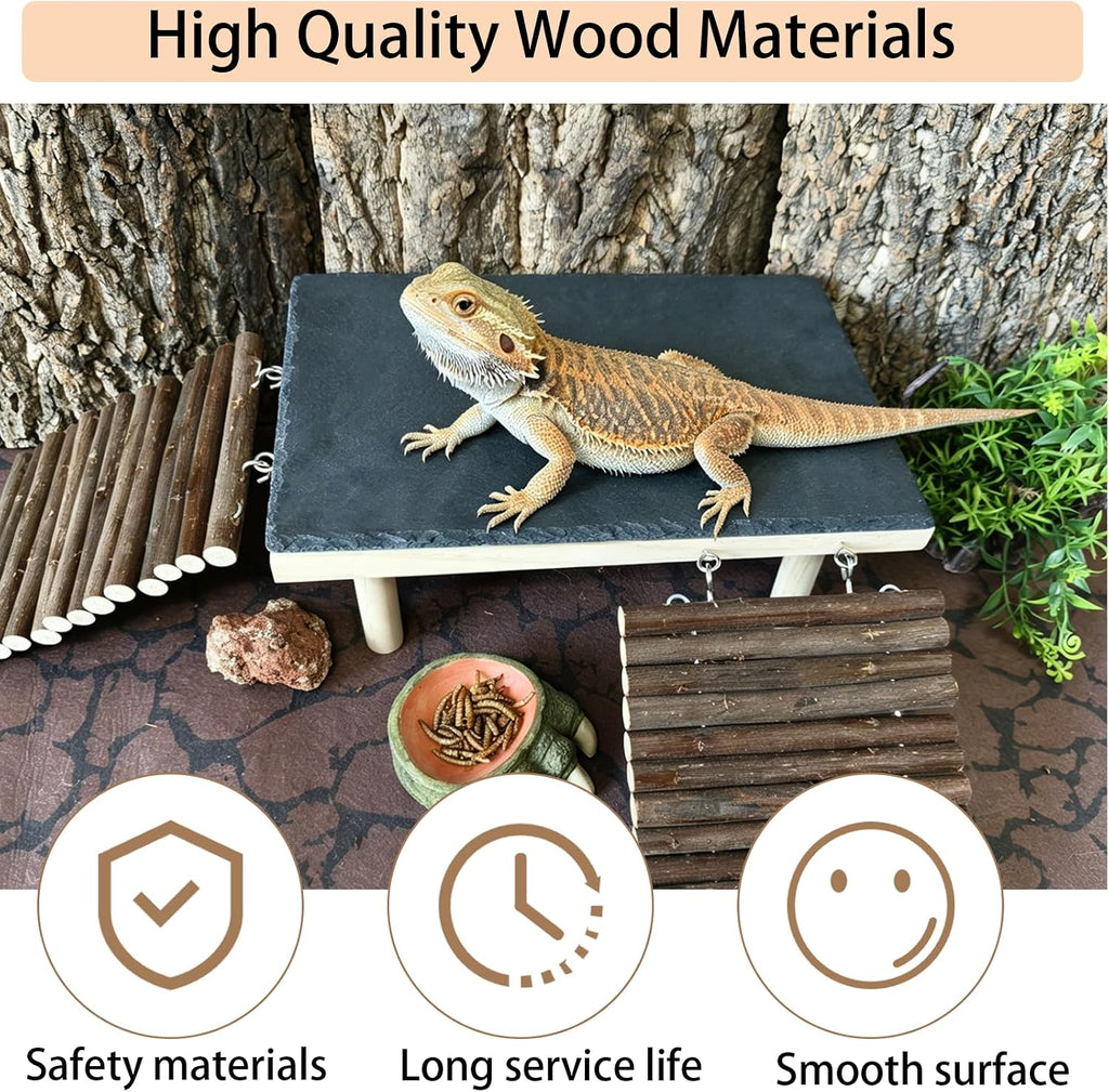 Bearded Dragon Basking Platform with Climbing Ramp & Reptile Rock