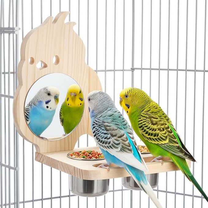 Feeder with Acrylic Mirror & Stainless Steel Bowls, Natural Wood Perch by SMICEM