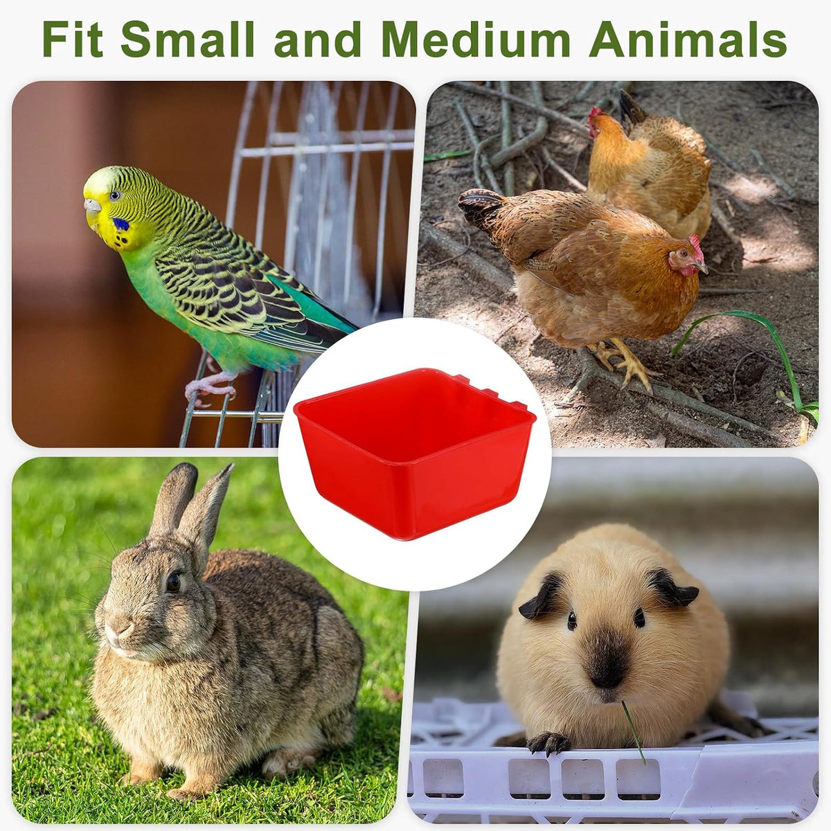 M METERXITY 5-Pack Bird Cage Cups 15 oz Plastic Chicken, Red