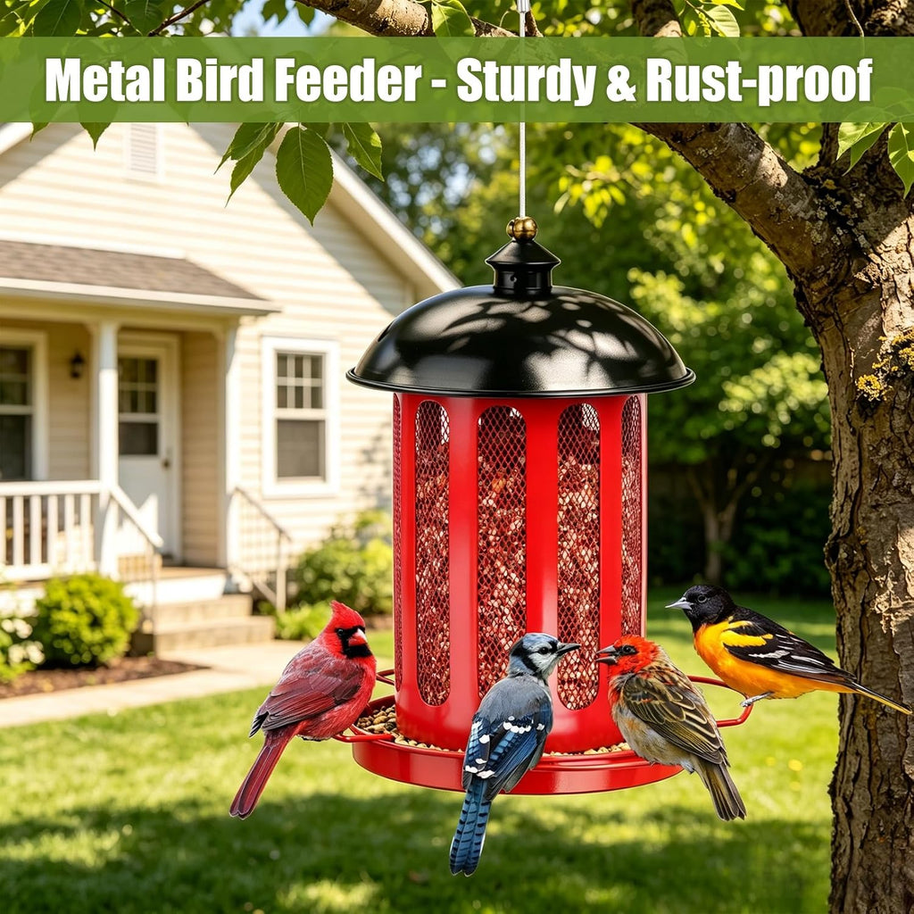 Bird Feeder, 4LB Large Capacity Bird Feeders for Outdoor Hanging