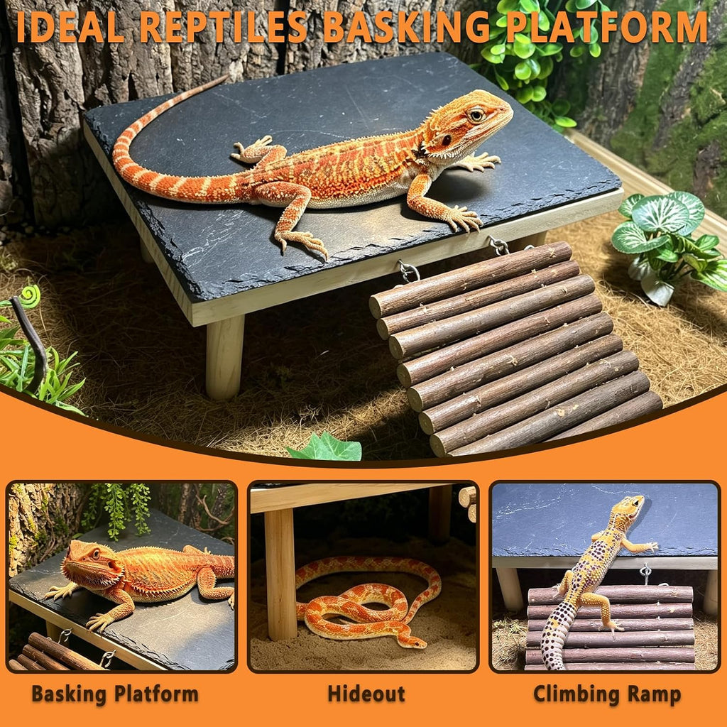 Bearded Dragon Basking Platform,Reptile Basking Rock with Climbing Ramp,M