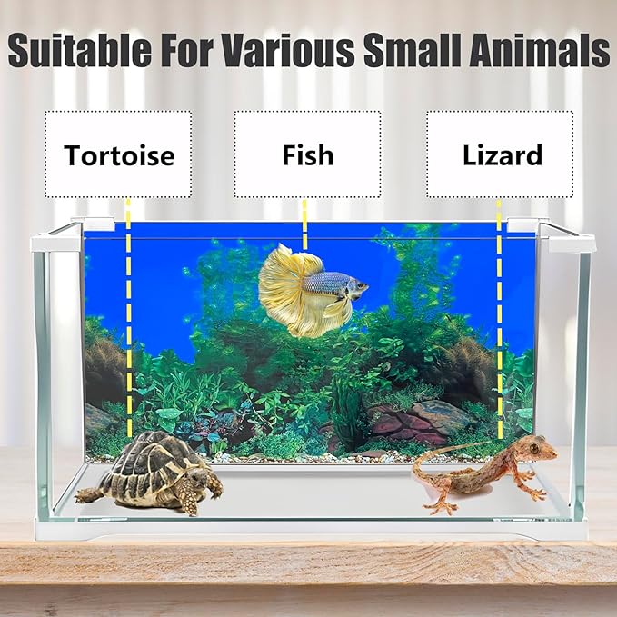 Fish Backgrounds Paper Double Sides Undersea Aquarium Background Poster - Image 4