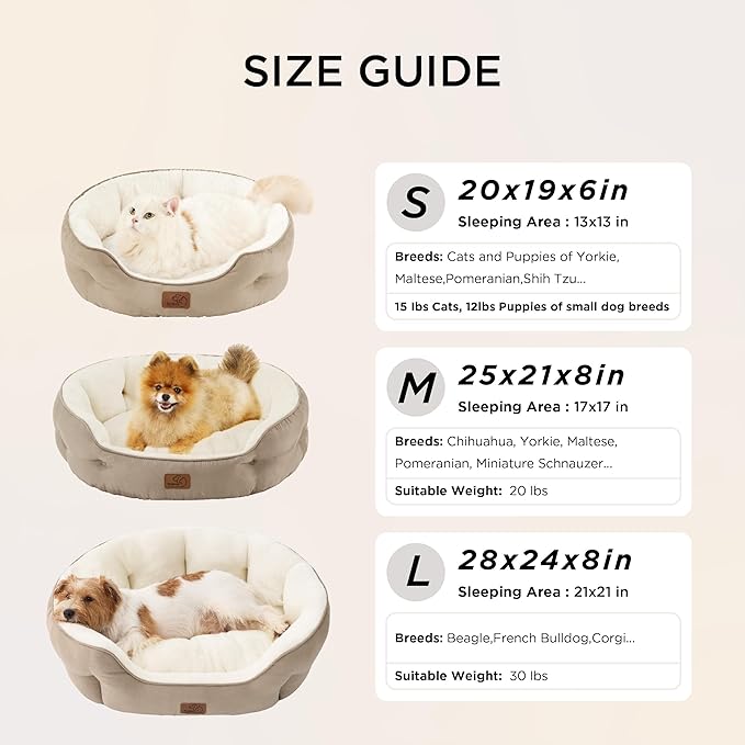 Bedsure Dog Beds for Small Dogs - Image 6