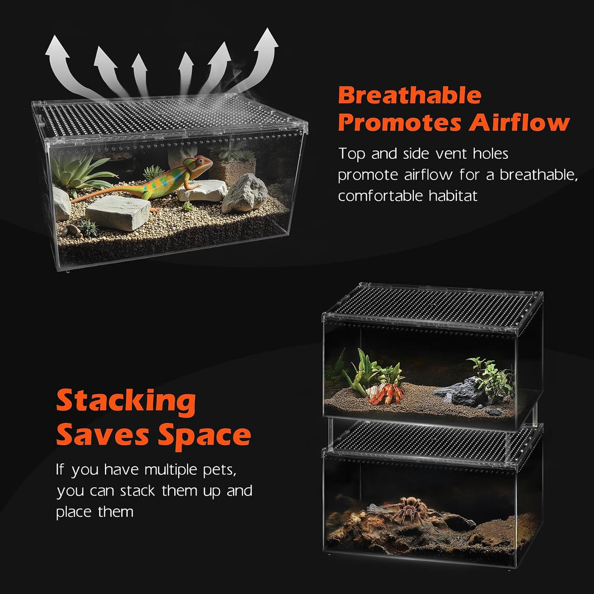 AZV Escape-Proof Tarantula Enclosure,0.8 Gallon Clear PC Reptile Terrarium