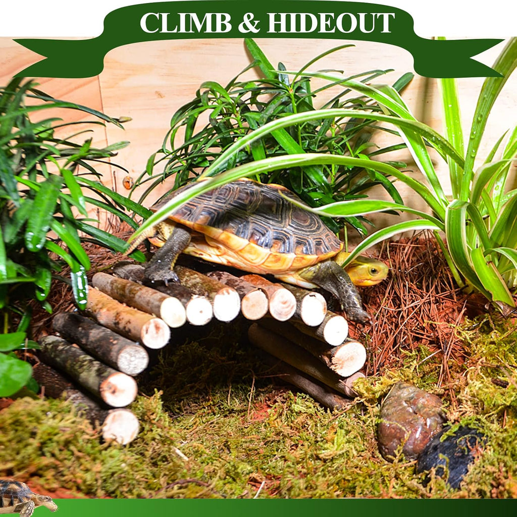 HERCOCCI Bearded Dragon Tank Accessories, 9Pcs Reptile Plants Vines Hammock Bridge Jungle Climber with Suction Cups Terrarium Habitat Décor for Snake Gecko Lizard Chameleon